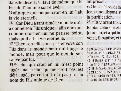French Bible LARGE PRINT, Louis Segond 1910 Imitation Leather Brown - Picture 8 of 8