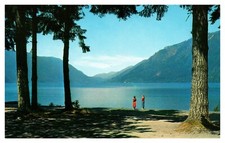 WA Washington Lake Crescent from the Lodge Olympic National Park Chrome Postcard