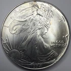 1994 American Silver Eagle Dollar R14