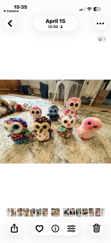 Ty Beanie Boos Owl Plush Lot of 7