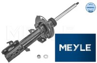 Meyle 7266230039 StoßDäMpfer StossdäMpfer Vorderachse Vorne FüR Ford