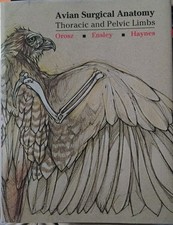 Avian Surgical Anatomy Thoracic And Pelvic Li...