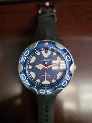 Citizen BN0231-01L with Black Strap (instead of Blue Strap)