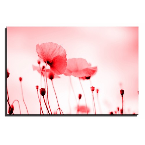 Mohn Landschaft Floral Einzel Leinwand Wandbild Bild Druck 16a - Bild 9 von 11