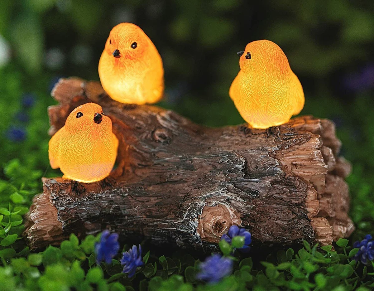 Robin solar light online