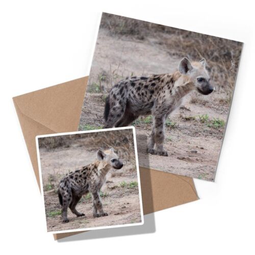 1 x Grußkarte & Aufkleber Set - süßes Hyäne Junge Wildtier #3373 - Bild 1 von 3