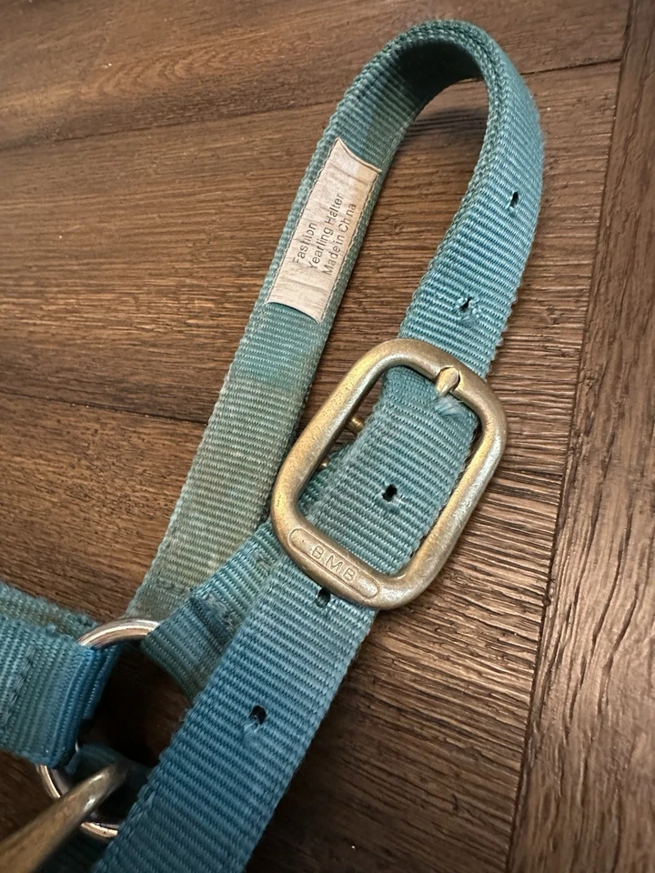 Horse Tack - Soporte de nailon verde azulado BMB Foto 3 de 4