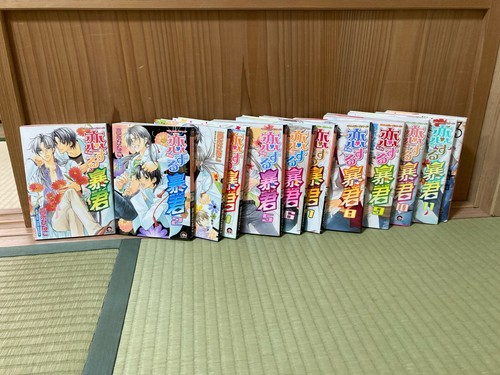 Yaoi manga Koisuru Boukun 1- 14 Set Hinako Takanaga Japanese Koi Suru Tyrant - Picture 10 of 11