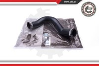Esen Skv Ladeluftschlauch FüR Renault Laguna Iii BT0/1 2.0 Dci Latitude L70_