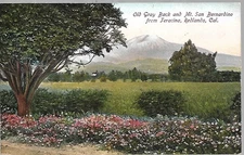 Old Grey Back & Mt San Bernadino, San Terracina, Redlands, CA 1910s Postcard