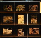 Photo 3/12