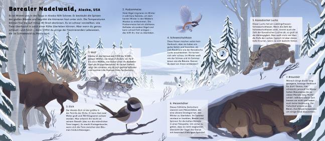 Thumbnail - Hörst Du Die Tiere Wald? Robert Hunter