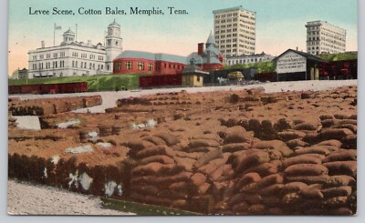Levee Scene Cotton Bales Memphis Tennessee Divided Back Postcard c1913