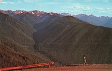 Hurricane Ridge Highway - Olympic Mountains - Washington WA - Postcard