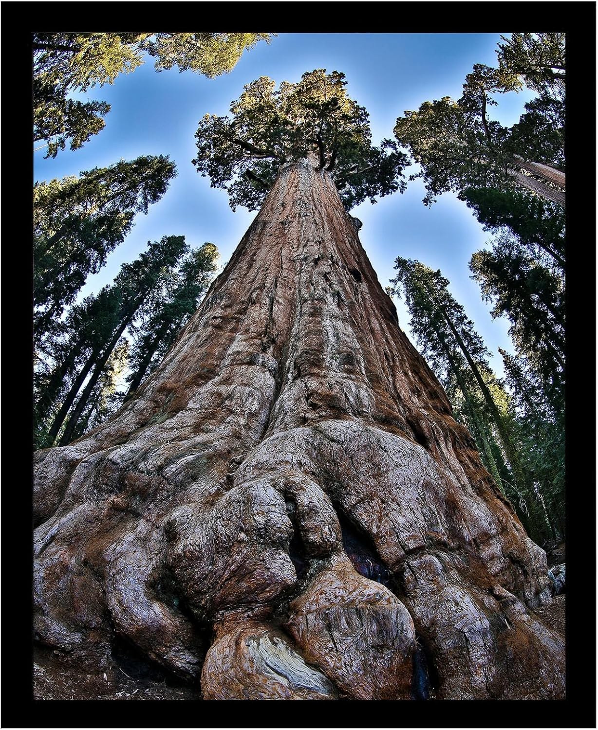 11X14 Picture Frame Black Photo Frames Display for Wall Hunging