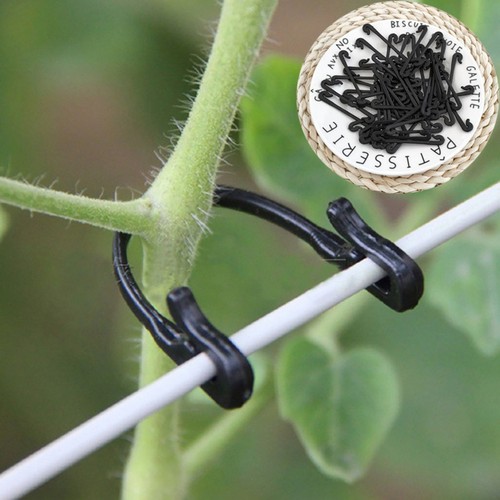 50 Pcs Vine Tie Buckle Binding Clip Garden Clips for Climbing Plants Tied - Afbeelding 2 van 11