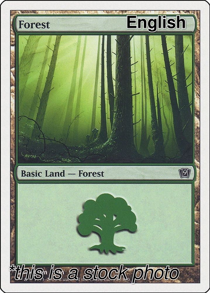 Forest [Normal LP - 9th Edition 348]