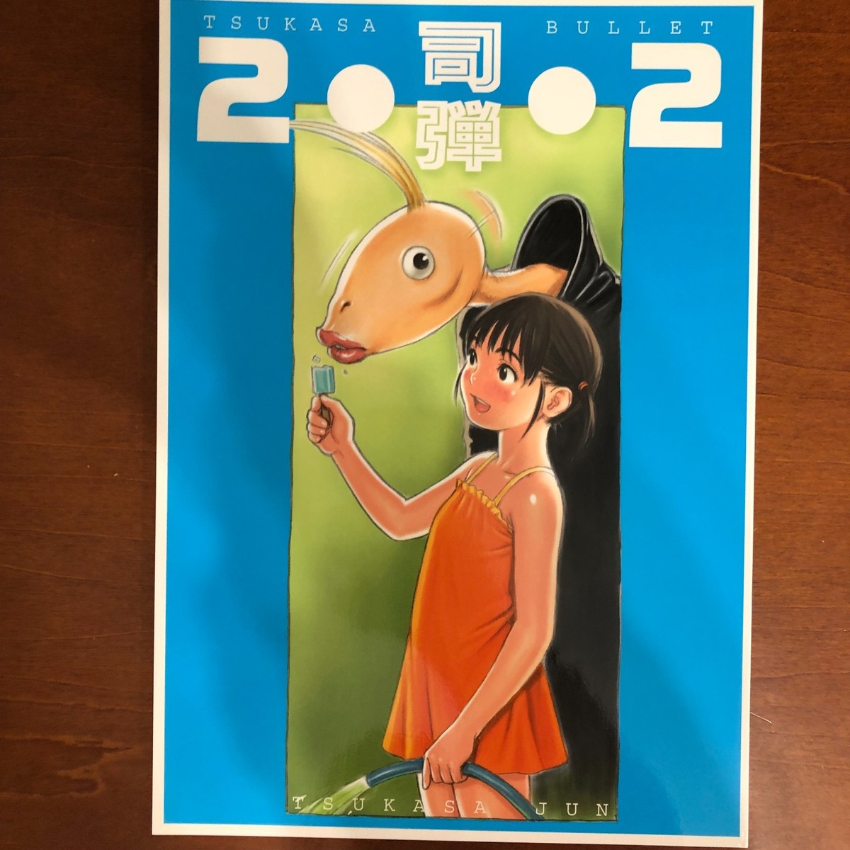 TSUKASA BULLET 2002 TSUKASA JUN TSUKASA BULLET Art Book