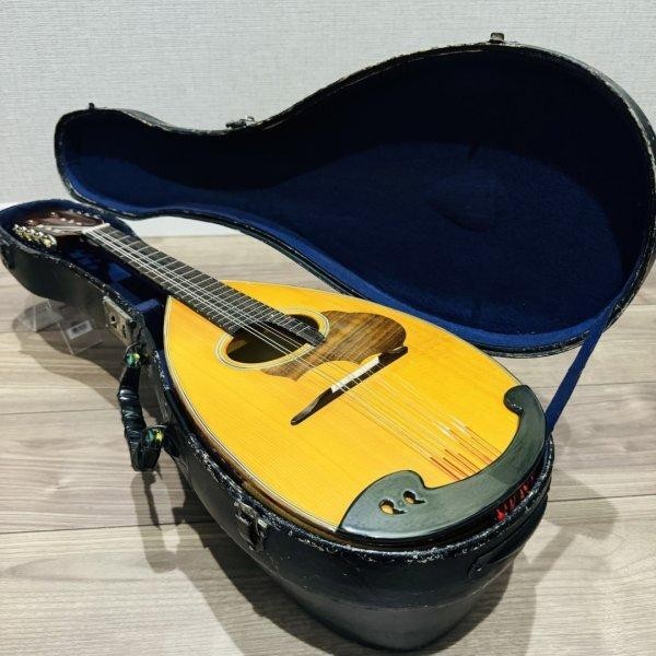 Suzuki Mandolin M-30 Stringed Instrument With Hard Case | eBay