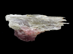 Cummingtonite on Rhodonite Micromount Mineral Specimen *Brazil*