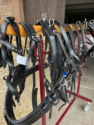 Zweispänner Kutschengeschirr – Shetty – Leder – Neu