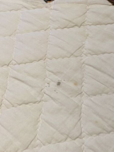 Cotton Patchwork Medallion Pointed Edge Quilt - 78"X 96" - Picture 13 of 13