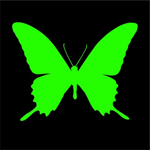 BUTTERFLY Decals Sticker, Vinyl, Car, Truck, Window, Choice of Sizes & Colors - Picture 8 of 15