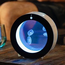 Round Desktop Jellyfish Aquarium Tank Kit for Real Live Jellyfish Fish Tank 2L