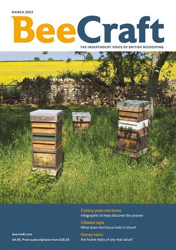 BeeCraft Magazine Back Issues - Picture 23 of 38