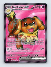Dachsbun ex SV07: Stellar Crown 160/142 Ultra Rare Holo Pokemon TCG Card