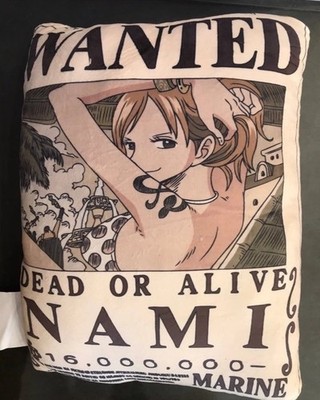 Miniso X One Piece Nani wanted Pillow 