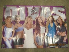 vintage wwe divas poster with  trish stratus/christy hemme/torrie wilson/michell