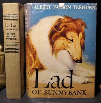 Lad of Sunnybank by Albert Payson Terhune 1929 Hardcover w/ DJ Mylar RARE! 