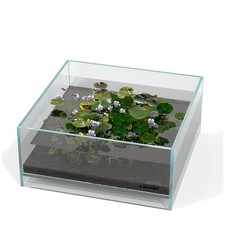 Minimalist Glass Air Fish Tank 10.63" Low Iron..