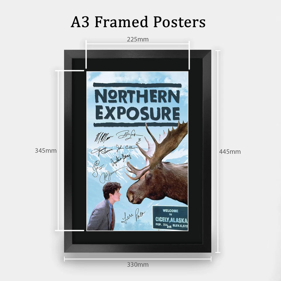 Northern Exposure (1990) Rob Morrow Printed Signed Autographed Poster for TV Fan - Image 2 of 4