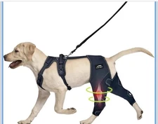 Dog Knee Brace w/ Cruciate Ligament Injuries ACL w/harness & leash Size XL