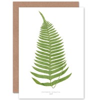 Botanischer Farn Polypodium Catherine Geburtstagskarte