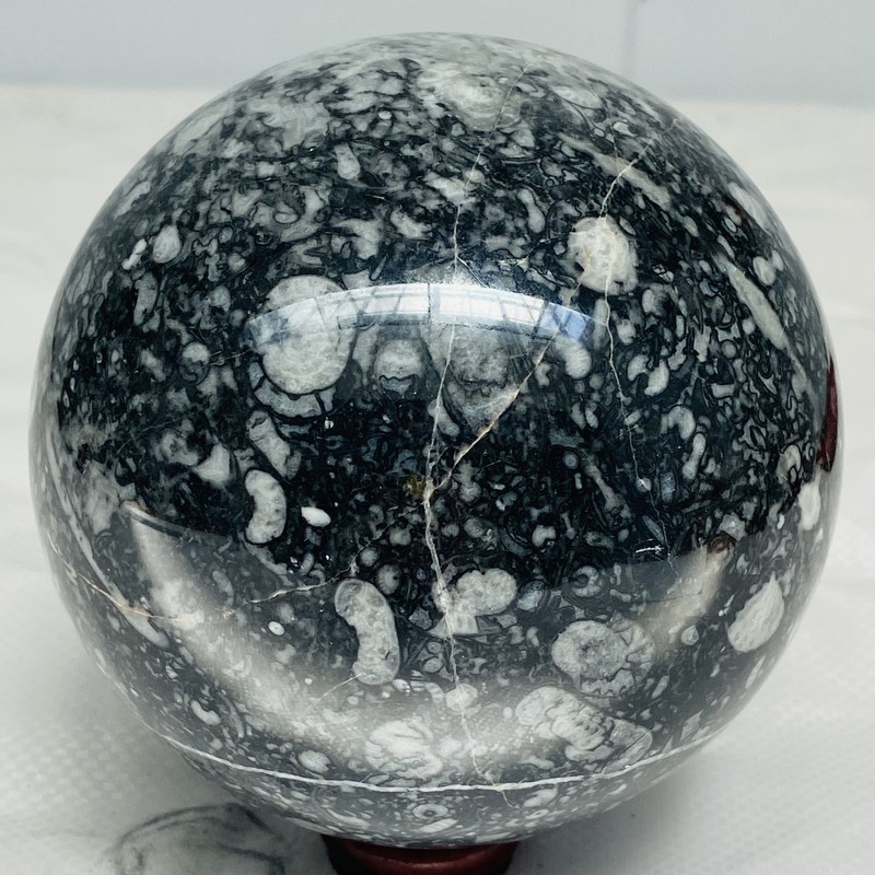 Natural Insectconch fossil crystal Ball Quartz Crystal Sphere Reiki Healing2460G