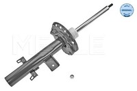 StossdÄMpfer Hinterachse Rechts FÜR Land Rover - Meyle 53-26 723 0002
