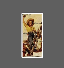 Cowgirl Sticker Western Retro Waterproof