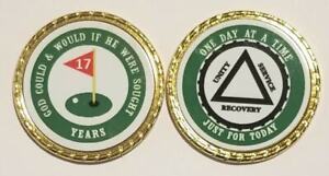 Alcoholics Anonymous 2 Year Patriotic Rope Edge Sobriety Coin Chip 1 3/4"
