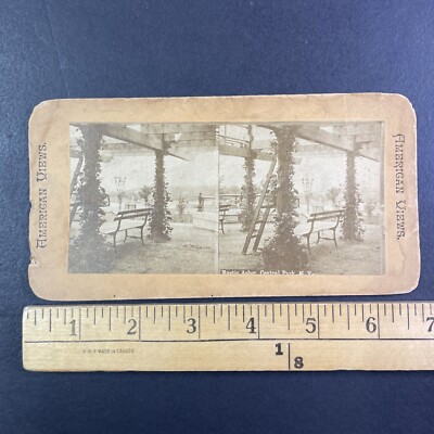 Central Park Rustic Arbor New York City Stereoview Antique c1880 Y13604