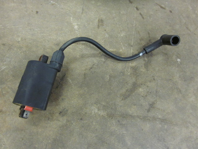 Kohler Ignition Coil 24 519 02 S for sale online eBay