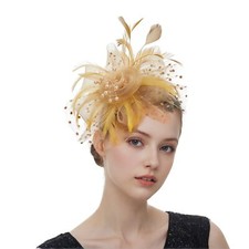 Litter Star Women Fascinators Hat Elegant Mesh Feather Headband with Clip Der...