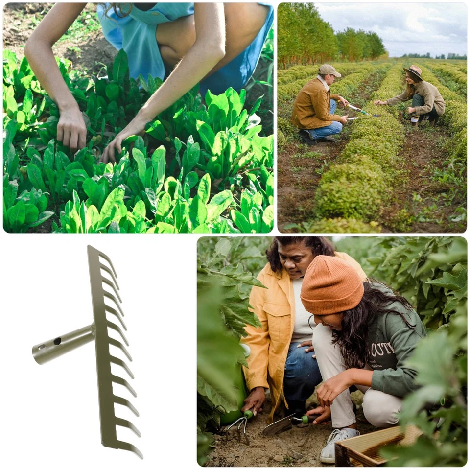  Garten Harke Klein Rasennivellierungsrechen Blattharken Gartenrake - Bild 3 von 4