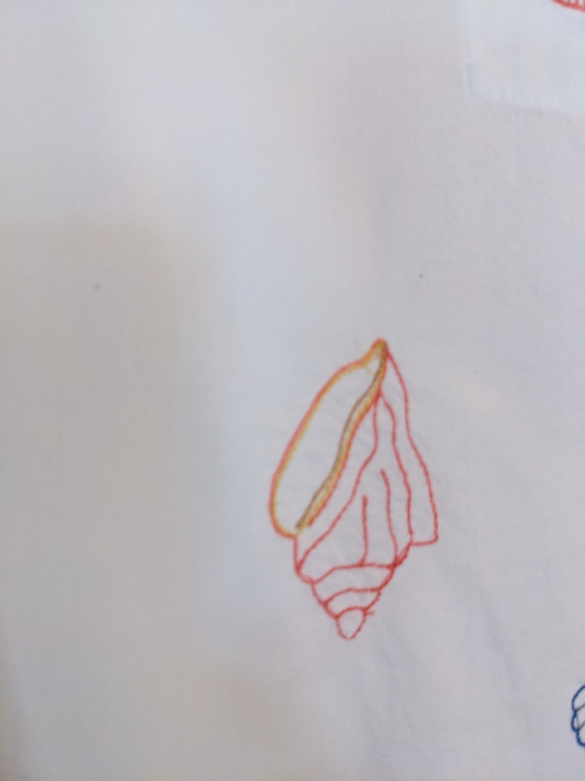 Print Fresh Beachcomber Button Down Sleepshirt/Go… - image 8