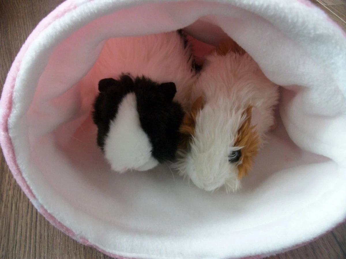 Guinea pig cheap beds snuggles
