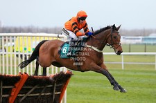 THISTLECRACK TOM SCUDAMORE AINTREE 2016 PHOTO PRINT CHOOSE SIZE HORSE RACING