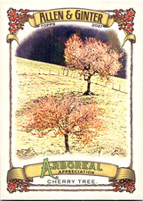 2021 Topps Allen & Ginter Arboreal #AA-8 Cherry Tree 