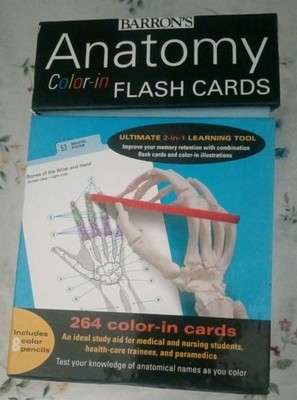 Anatomy Color-in Flash Cards by Kurt Albertine Flash Cards